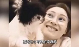 李嘉欣最新爆料视频播放,最新爆料视频背后的惊人真相
