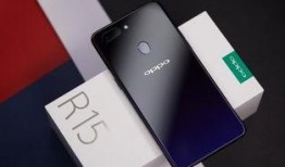 r15在线观看,精彩剧情等你解锁